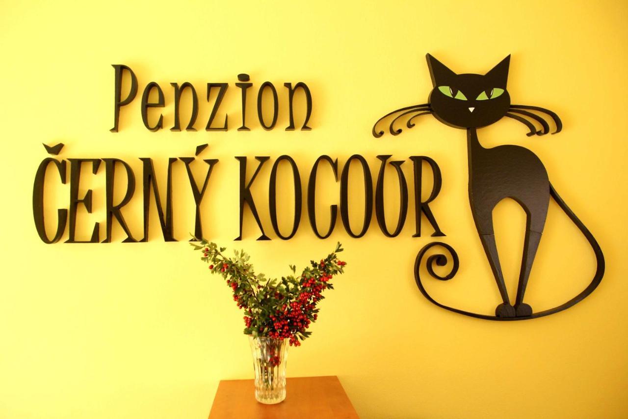 Cerny Kocour Apart Hotel Sarovy Dış mekan fotoğraf